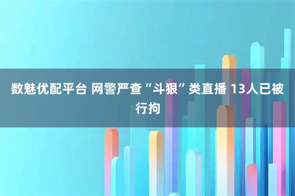 数魅优配平台 网警严查“斗狠”类直播 13人已被行拘